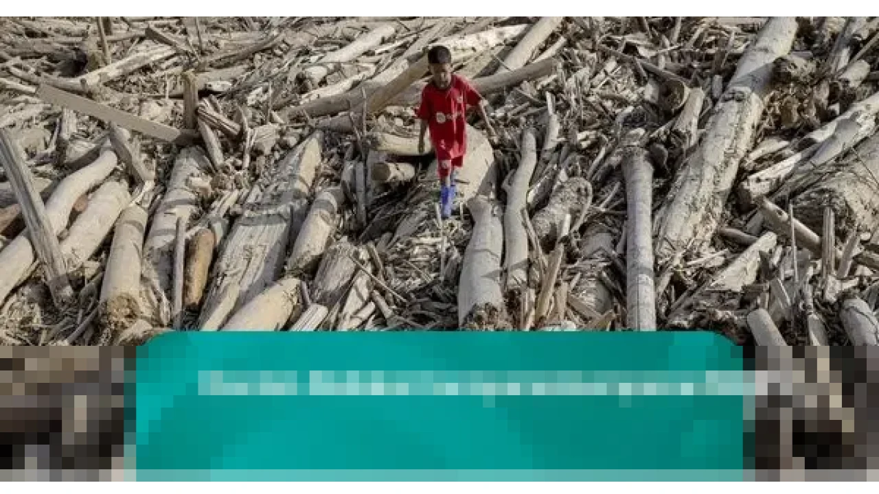 Saan Mustopa: “Kepala Daerah Bingung Status Kayu Gelondongan Pascabanjir Sumatera”