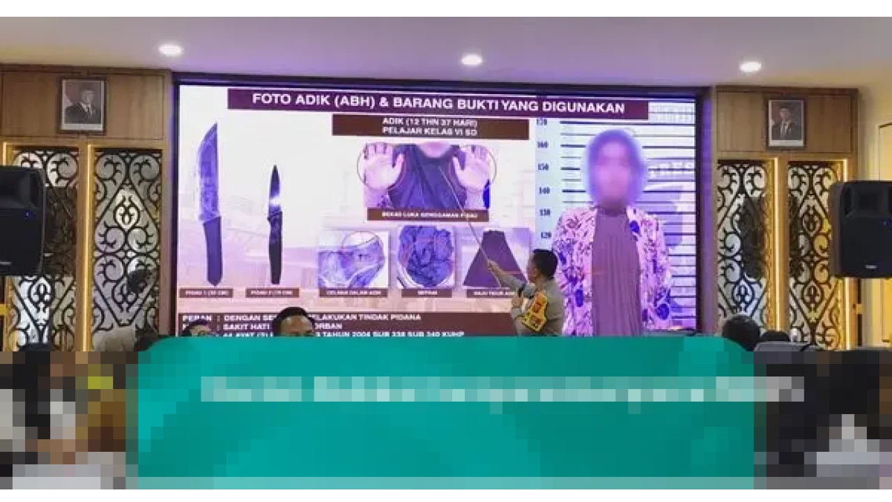 Sakit Hati Kerap Dimarahi, Anak SD di Medan Tega Tusuk Ibu Kandung 26 Kali hingga Tewas