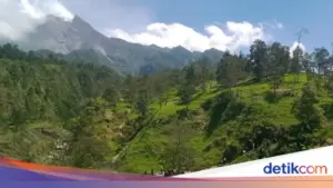 SAR Gabungan Perluas Pencarian Aldo Oktawijaya, Pendaki Ilegal yang Hilang di Gunung Merapi