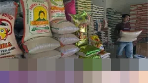 Satgas Beras Tegur Hampir 1.000 Pedagang, Harga Beras Mulai Terkendali di Berbagai Zona