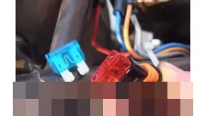 Sekring Motor Sering Putus? Ini Tiga Penyebab Utama yang Wajib Diwaspadai Pengendara Sepeda Motor