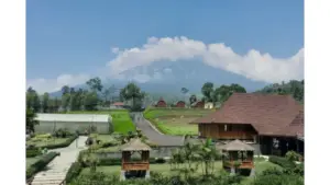 Sensasi Liburan Lengkap di D’Las Lembah Asri Purbalingga: Dari Strawberry hingga Dinosaurus