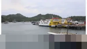 Stephanus Risdiyanto: “Penutupan Sementara Berlaku untuk Seluruh Perairan Manggarai Barat”