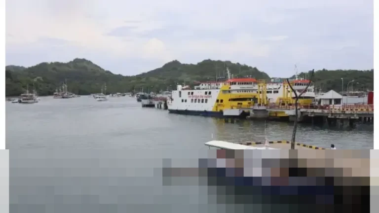 Stephanus Risdiyanto: “Penutupan Sementara Berlaku untuk Seluruh Perairan Manggarai Barat”