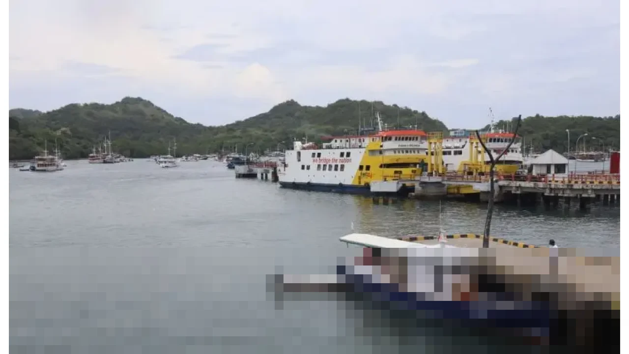 Stephanus Risdiyanto: “Penutupan Sementara Berlaku untuk Seluruh Perairan Manggarai Barat”