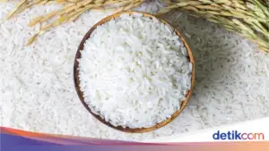 Strategi Hemat Anggaran Keluarga di Tengah Kenaikan Harga Beras Rp 13.500 per Kilogram