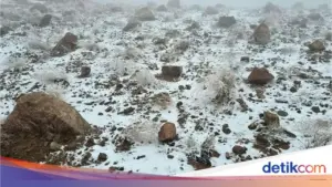 Tabuk Bersalju: Mengenang Perang Terakhir Nabi Muhammad SAW di Tengah Dinginnya Gurun Saudi