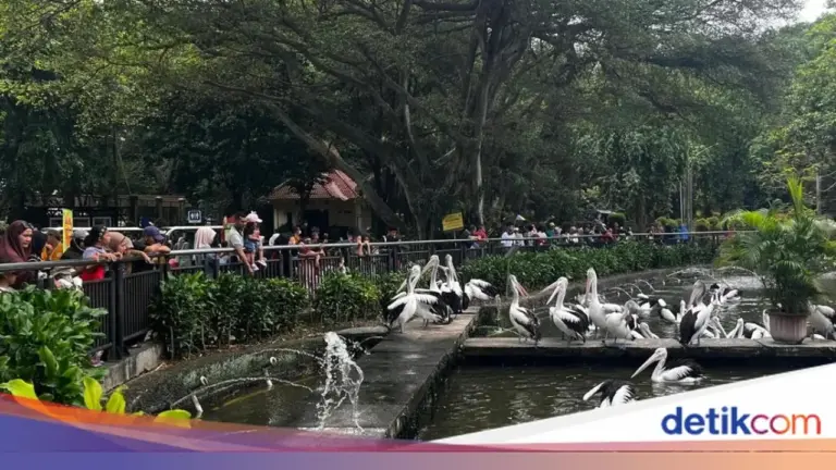Taman Margasatwa Ragunan Pastikan Tetap Beroperasi Penuh Selama Libur Natal dan Tahun Baru 2025/2026