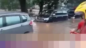 Tanggul Jebol dan Hujan Deras Picu Banjir Satu Meter di Gunung Putri Bogor, Puluhan Rumah Terendam