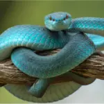 Teknologi ‘Snake Vision’ Hadirkan Gambar Termal 4K, Ubah Cara Pandang di Kegelapan Total