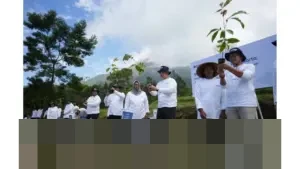 Telkom Perkuat Ruang Terbuka Hijau dan Ketahanan Lingkungan DIY Lewat Penanaman 500 Pohon di Bukit Klangon