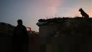 Thailand dan Kamboja Sepakati Gencatan Senjata Setelah Tiga Pekan Bentrokan Mematikan di Perbatasan