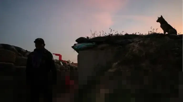 Thailand dan Kamboja Sepakati Gencatan Senjata Setelah Tiga Pekan Bentrokan Mematikan di Perbatasan