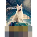 The Dog Who Travelled by Train: Drama Keluarga Penuh Emosi tentang Persahabatan Unik dan Perjuangan Hidup