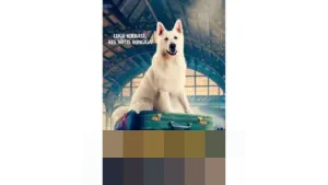 The Dog Who Travelled by Train: Drama Keluarga Penuh Emosi tentang Persahabatan Unik dan Perjuangan Hidup