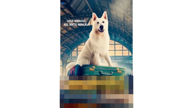 The Dog Who Travelled by Train: Drama Keluarga Penuh Emosi tentang Persahabatan Unik dan Perjuangan Hidup