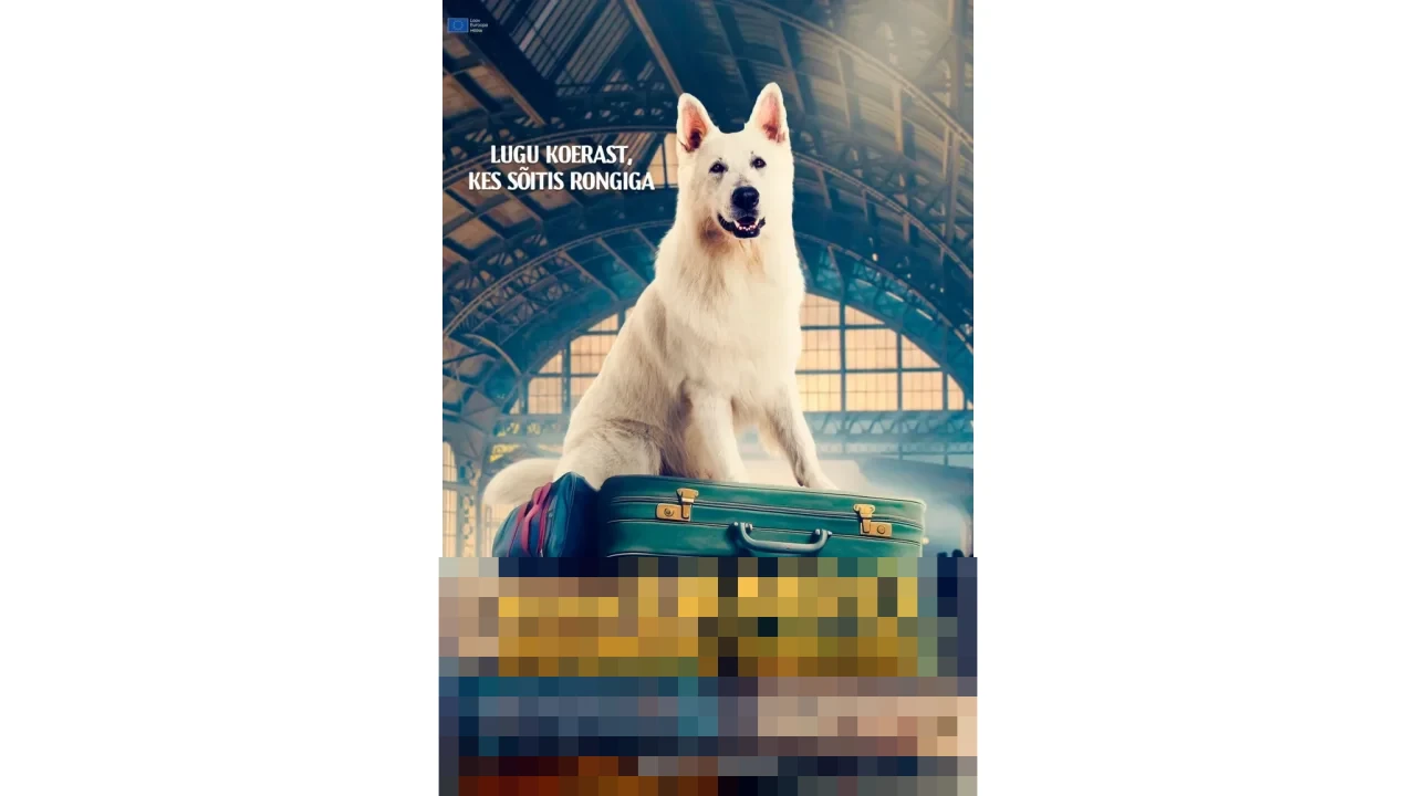 The Dog Who Travelled by Train: Drama Keluarga Penuh Emosi tentang Persahabatan Unik dan Perjuangan Hidup