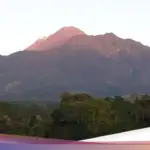 Tim SAR Temukan Satu Pendaki Ilegal di Gunung Merapi dalam Kondisi Lemas, Pencarian Satu Korban Lain Dilanjutkan