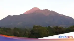 Tim SAR Temukan Satu Pendaki Ilegal di Gunung Merapi dalam Kondisi Lemas, Pencarian Satu Korban Lain Dilanjutkan