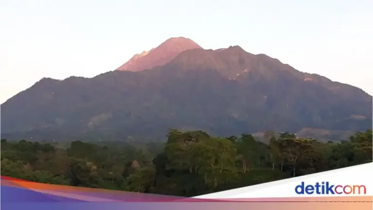 Tim SAR Temukan Satu Pendaki Ilegal di Gunung Merapi dalam Kondisi Lemas, Pencarian Satu Korban Lain Dilanjutkan