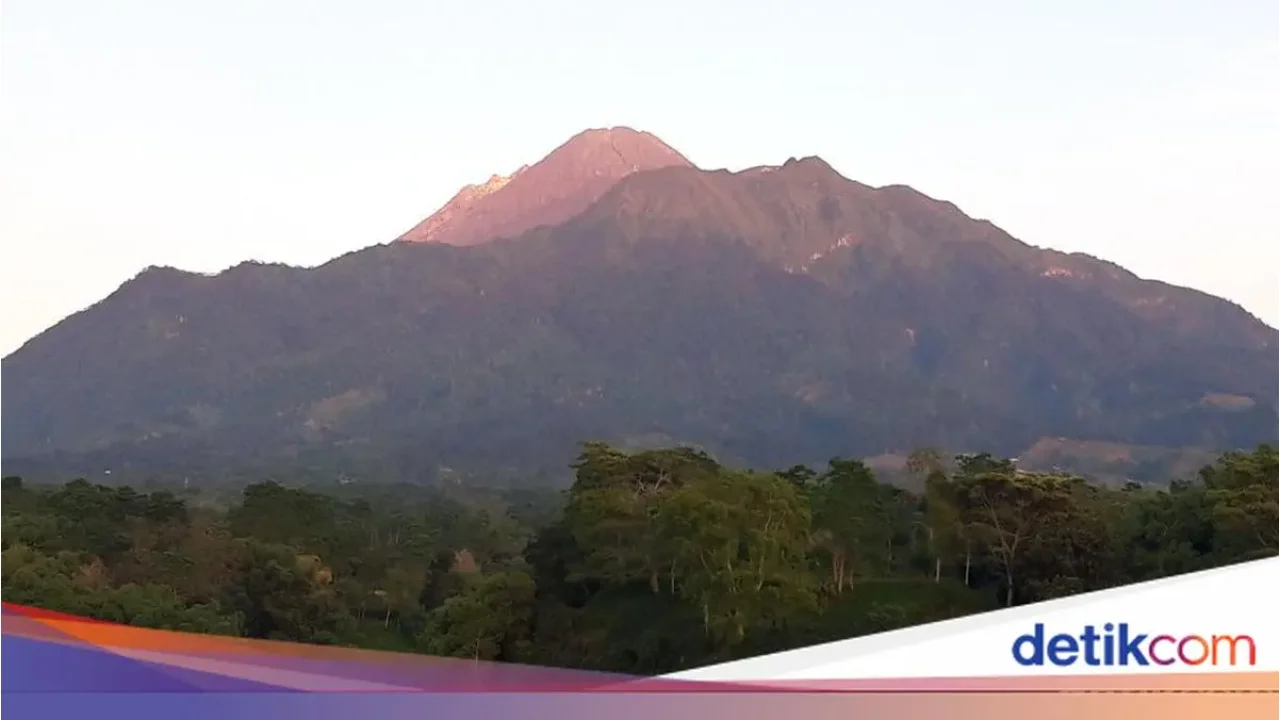 Tim SAR Temukan Satu Pendaki Ilegal di Gunung Merapi dalam Kondisi Lemas, Pencarian Satu Korban Lain Dilanjutkan