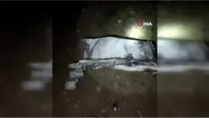 Tragedi Udara di Turki: Jet Pribadi Pembawa Pejabat Militer Libya Jatuh, Lima Orang Meninggal Dunia