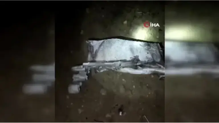 Tragedi Udara di Turki: Jet Pribadi Pembawa Pejabat Militer Libya Jatuh, Lima Orang Meninggal Dunia