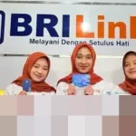 Transformasi Peni Prayekti: BRILink Ubah Ibu Rumah Tangga Jadi Penggerak Ekonomi Desa di Banjarnegara