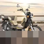 TVS XL100 Pimpin Pasar Motor Bebek Termurah di Indonesia, Harga Mulai Rp 14 Jutaan Akhir 2025