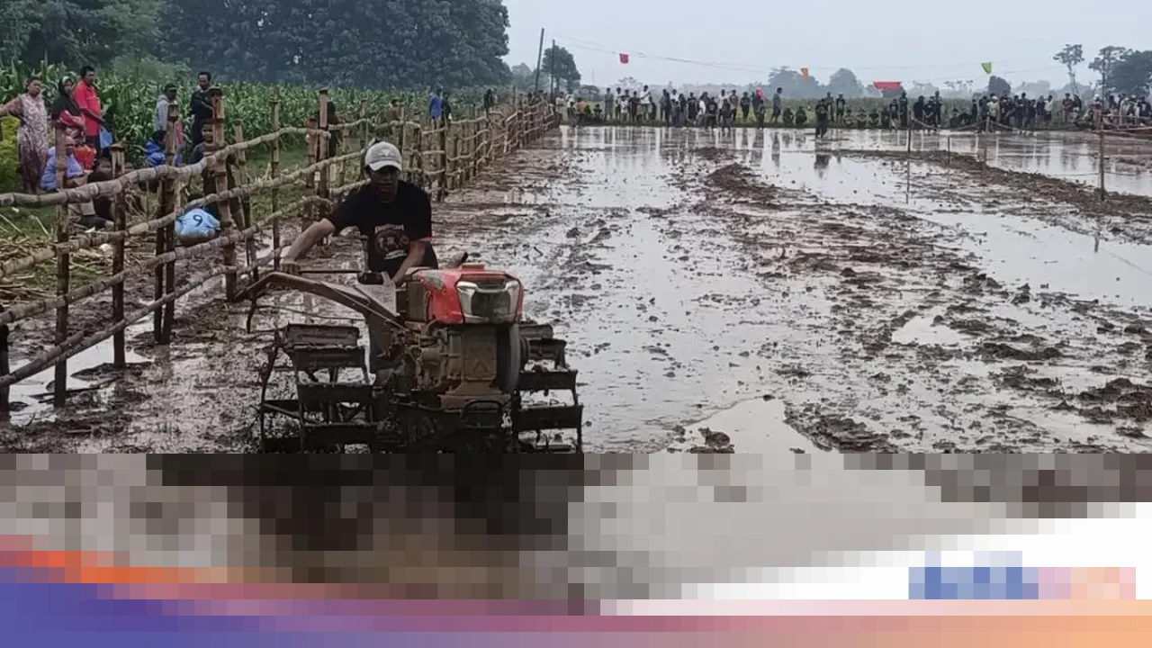 Uniknya ‘Kerapan Sapi Jepang’ di Probolinggo: Balap Traktor Modern Sambut Musim Tanam Uniknya ‘Kerapan Sapi Jepang’ di Probolinggo: Balap Traktor Modern Sambut Musim Tanam