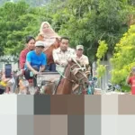 Wagub Sulteng Reny Lamadjido Tekankan Pentingnya Pelestarian Dokar yang Tertata dan Aman