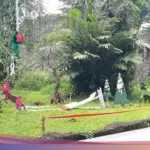 Wahyudi Bambang: Ragunan Siapkan Atraksi Feeding Gorila Spesial Natal dan Tahun Baru