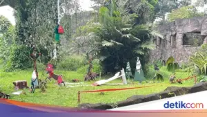 Wahyudi Bambang: Ragunan Siapkan Atraksi Feeding Gorila Spesial Natal dan Tahun Baru