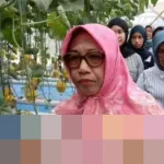 Wakil Bupati Blora Dorong Petani Melon Hidroponik Masuk Rantai Pasok Program Makan Bergizi Gratis