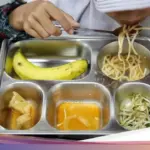 Wakil Ketua Komisi IX DPR Yahya Zaini Soroti Ketidakefektifan Program Makan Bergizi Gratis Saat Libur Sekolah