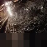 Wakil Ketua MPR Eddy Soeparno: Cadangan Batu Bara RI Bertahan 200 Tahun, tapi Masih Impor Energi