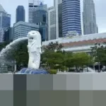 Warga Singapura ‘Mabuk’ Durian: Harga Anjlok Akibat Banjir Pasokan Malaysia, Penjualan Meroket