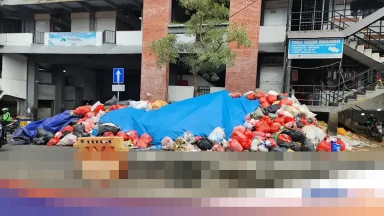 Warga Tangerang Selatan Khawatir Tumpukan Sampah Picu Penyakit, Desak Solusi Cepat
