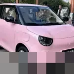 Yin Ran: “Ini Ujian Bertahan Hidup” di Tengah Perang Harga Mobil Listrik Cina hingga 2026