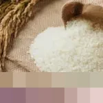 Zulhas Dorong Penyatuan HET Beras Nasional: Perkuat Bulog dan Jangkau Wilayah 3T