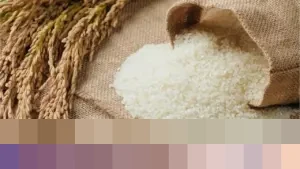 Zulhas Dorong Penyatuan HET Beras Nasional: Perkuat Bulog dan Jangkau Wilayah 3T