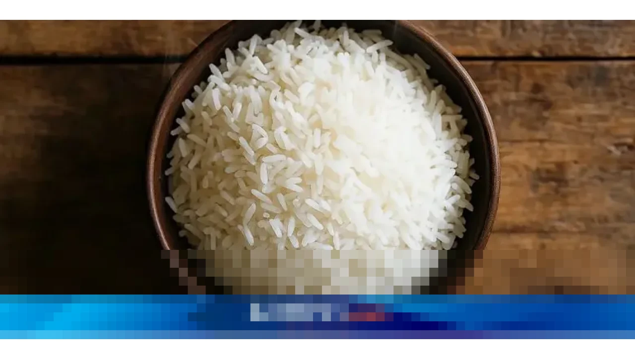 Zulkifli Hasan: Cadangan Beras Pemerintah Naik Jadi 4 Juta Ton, Jagung Tembus 1 Juta Ton pada 2026