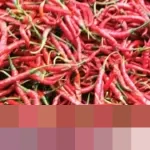 Zulkifli Hasan Soroti Kenaikan Harga Cabai Rawit Merah dan Daging Ayam di Pasar Kramatjati