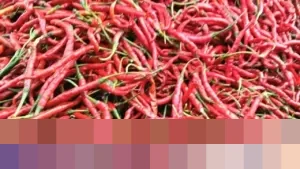 Zulkifli Hasan Soroti Kenaikan Harga Cabai Rawit Merah dan Daging Ayam di Pasar Kramatjati