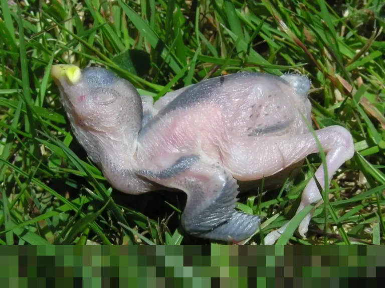 22 Tewas dalam Sepekan, Tentara Suriah Klaim Hancurkan Gudang Senjata SDF di Aleppo