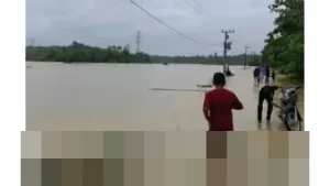 Afifullah: Sektor Perikanan Aceh Timur Lumpuh, Kerugian Tembus Rp2,64 Triliun Akibat Banjir