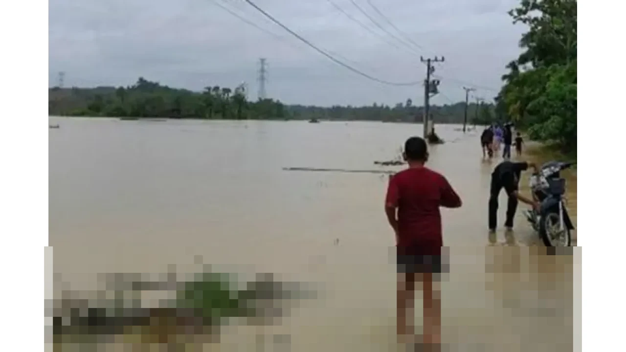 Afifullah: Sektor Perikanan Aceh Timur Lumpuh, Kerugian Tembus Rp2,64 Triliun Akibat Banjir