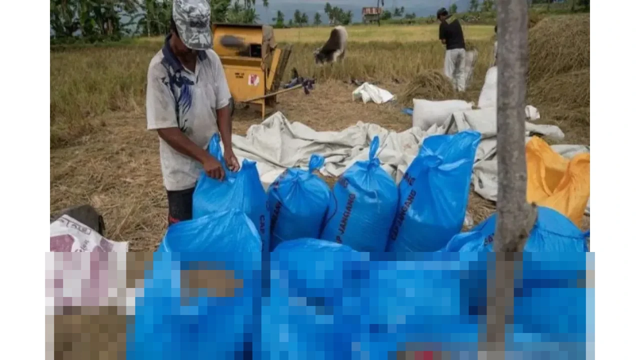 Ahmad Rizal Ramdhani: “Ini Top Perform-nya Bulog,” Serapan Gabah 2025 Tertinggi Sepanjang Sejarah Ahmad Rizal Ramdhani: “Ini Top Perform-nya Bulog,” Serapan Gabah 2025 Tertinggi Sepanjang Sejarah