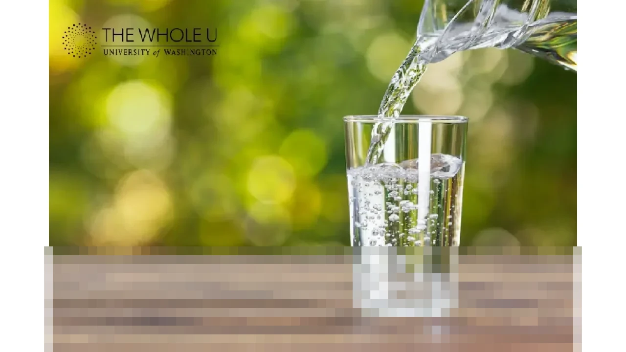 Ancaman Penyakit dari Air Terkontaminasi: Lima Metode Pemurnian Air Sederhana yang Bisa Dicoba di Rumah