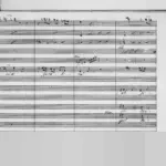 Angin Kencang dan Hujan Deras Rusak 10 Rumah di Tiga Kampung Bogor, BPBD Minta Penanganan